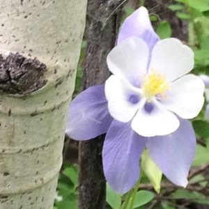 Meet your Posher, Zanna